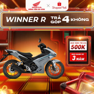 WINNER R DB XAM DEN 6