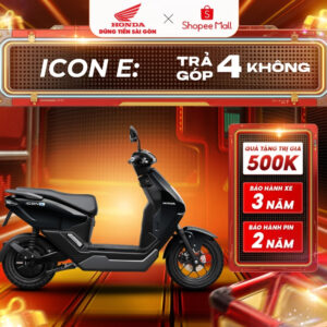 icon e cc den 6