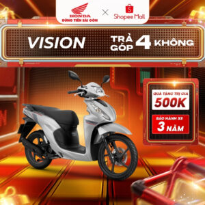 vison bac den 2